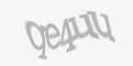 Защитный код