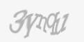 Защитный код